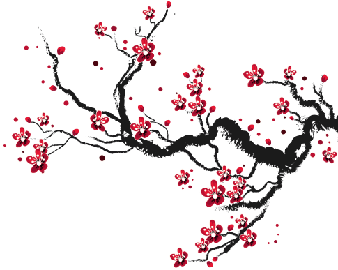 batang sakura